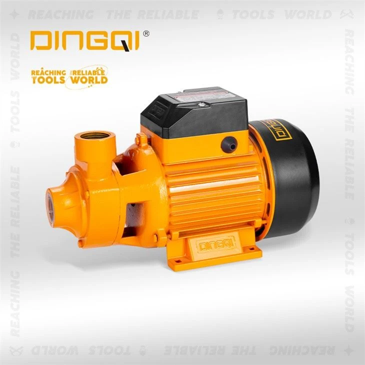Pompa dell'acqua elettrica QB70 da 550 W per l'agricoltura